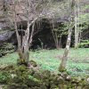 Zagorska pećina