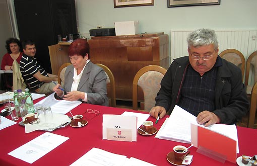 Odluke i zaključci 7. sjednice Gradskog vijeća Grada Ogulina održane 4. svibnja 2010.