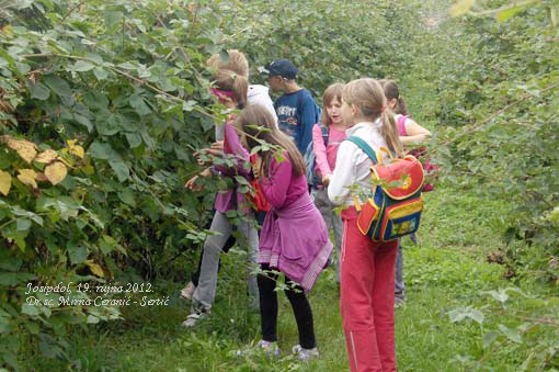 Učenici Prve osnovne škole Ogulin posjetili Obiteljska poljoprivredna gospodarstva u Josipdolu