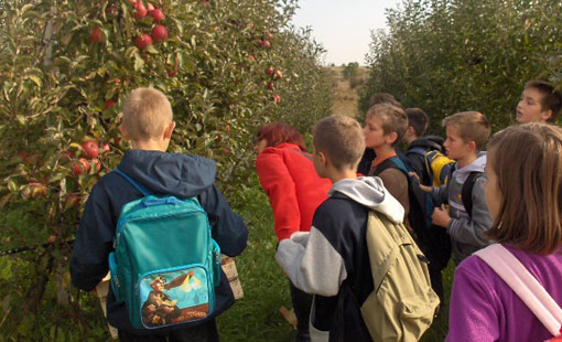 Učenici  Prve osnovne škole Ogulin posjetili Obiteljska poljoprivredna gospodarstva u Tounju